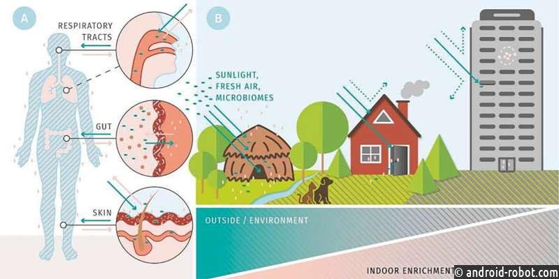 Как здания влияют на микробиом и здоровье человека