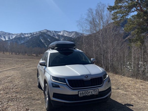 Автовладелец рассказал, чем примечателен Skoda Kodiaq 2020: «Совершеннее, длиннее и умнее Toyota RAV4»